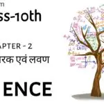 Class 10 Science Notes in Hindi Chapter 2 अम्ल, क्षारक एवं लवण (Acid, Bases And Salts)
